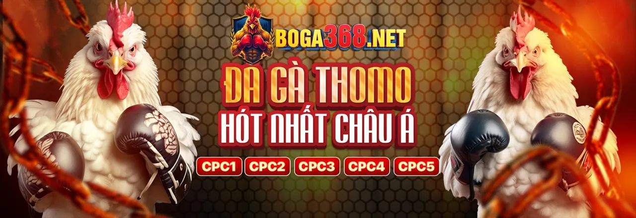 Hình ảnh chính Đá Gà ok36538 nhà cái